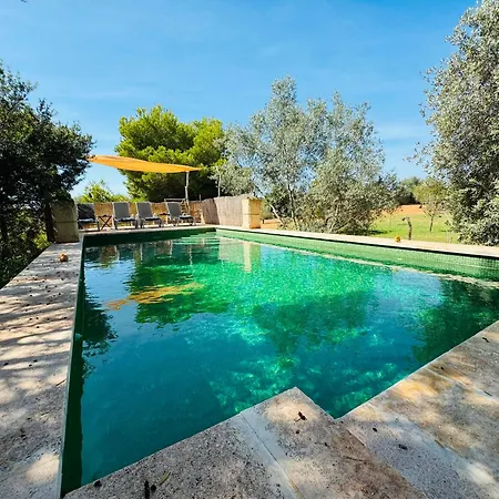 Conill Llucmajor (Mallorca)